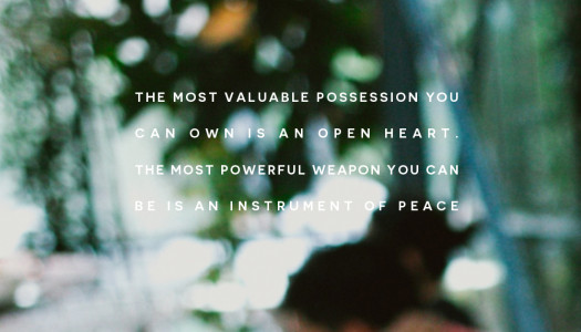 The most valuable possession you can own is an open heart.  The most powerful weapon you can  be is an instrument of peace