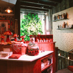 Alchemist Kitchen: Connect With The Power Of Plants [New ...