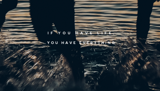 If you have life,  you have everything
