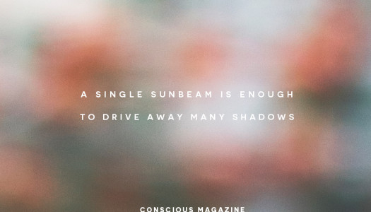 A single sunbeam is enough to drive away many shadows