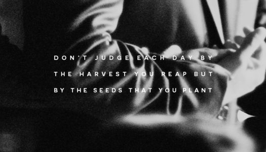 Don’t judge each day by the harvest you reap but by the seeds that you plant