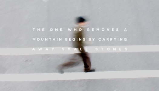The one who removes a mountain begins by carrying away small stones