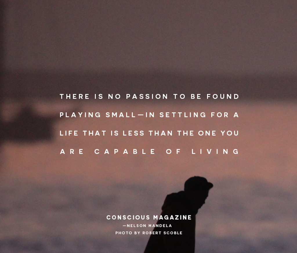 There is no passion to be found playing small—in settling for a life ...