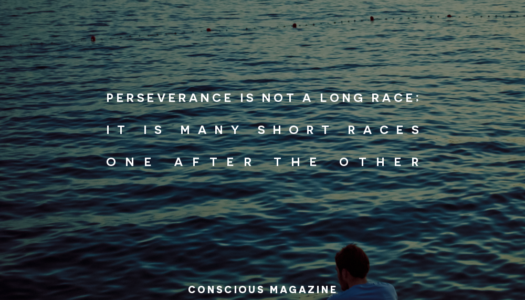 Perseverance is not a long race; it is many short races one after the other
