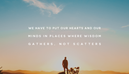 We have to put our hearts and our minds in places where wisdom gathers, not scatters.